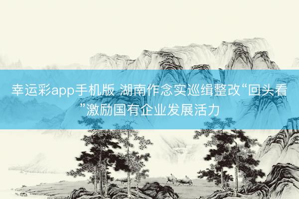幸运彩app手机版 湖南作念实巡缉整改“回头看”激励国有企业发展活力